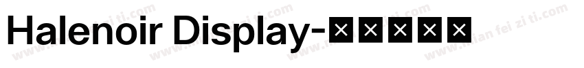 Halenoir Display字体转换